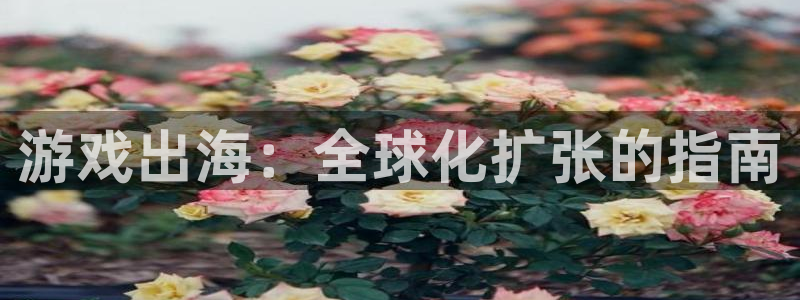 新城平台