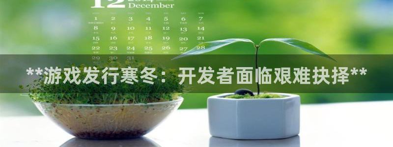 新城平台代理：**游戏发行寒冬：开发者面临艰难抉择**