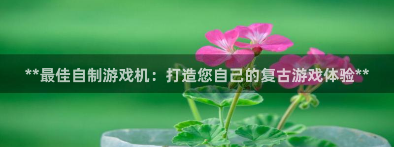 新城平台登陆：**最佳自制游戏机：打造您自己的复古游戏体验**