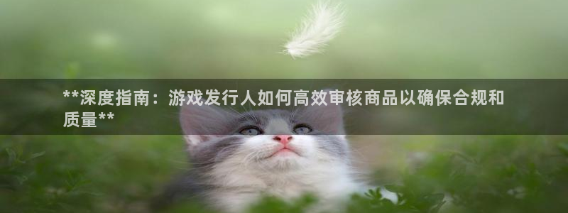 新城平台登录入口官网首页下载：**深度指南：游戏发行人如何高效审核商品以确保合规和
质量**