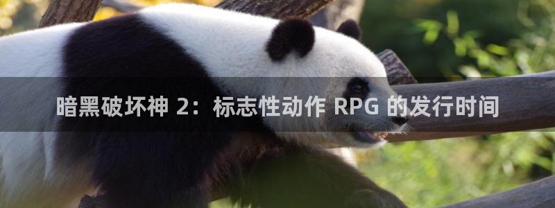 新城平台负责人电话：暗黑破坏神 2：标志性动作 RPG 的发行时间