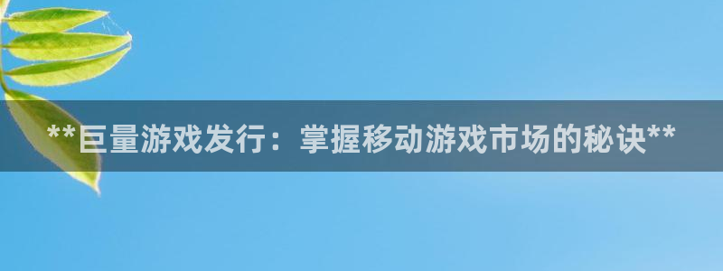 新城平台登录入口官网查询网址：**巨量游戏发行：掌握移动游戏市场的秘诀**