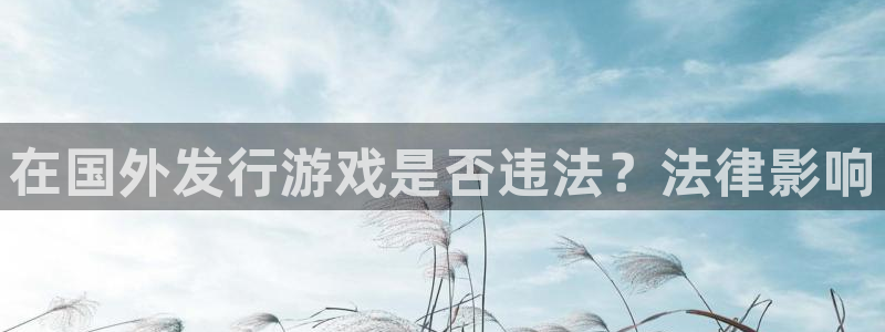 新城平台注册公司流程：在国外发行游戏是否违法？法律影响