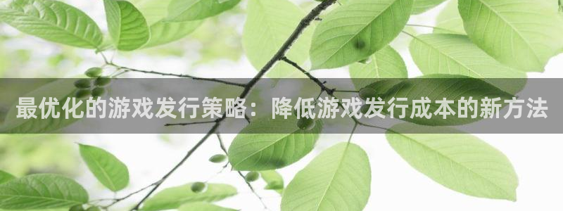 新城平台分分彩