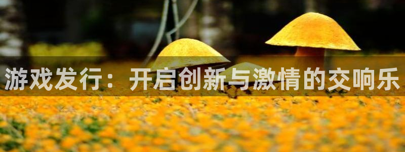 新城平台注册登录地址