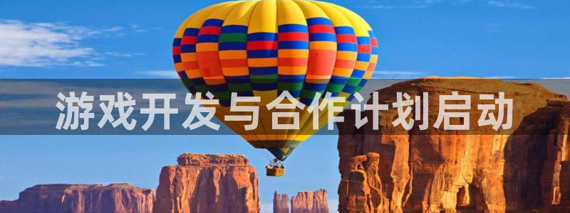 新城平台总代