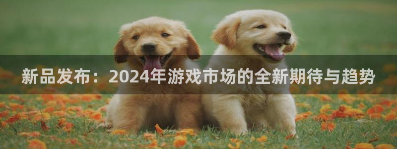 新城平台线路检测中心
