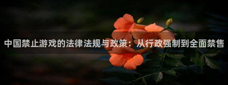 新城平台开户