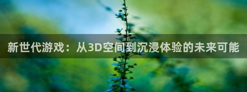 新城平台是干嘛的公司啊