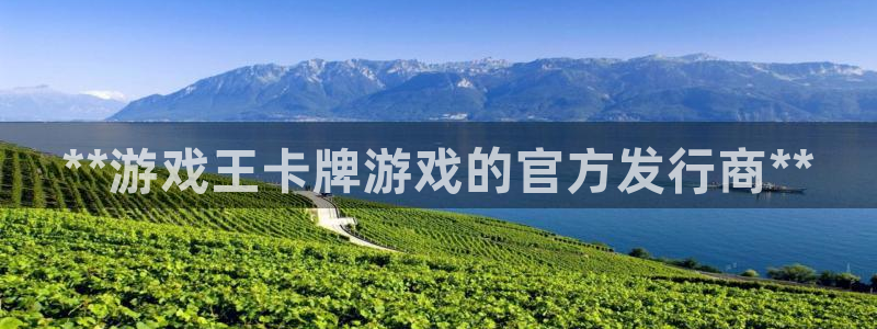 新城平台革7O777