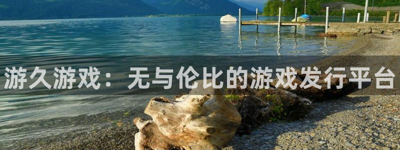 新城平台进·新城平台：游久游戏：无与伦比的游戏发行平台