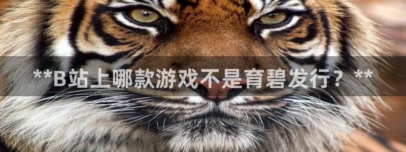 新城平台是干嘛的公司