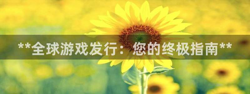 新城平台代理怎么样