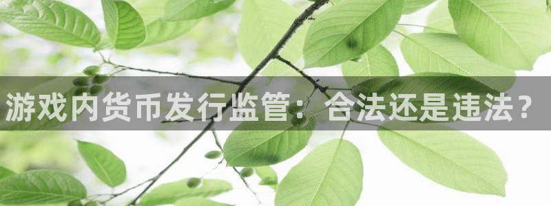 新城平台注册资金多少亿：游戏内货币发行监管：合法还是违法？