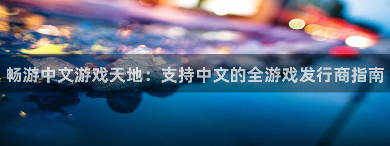 新城平台是干嘛的公司有哪些：畅游中文游戏天地：支持中文的全游戏发行商指南