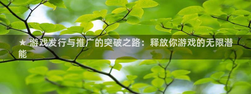 新城平台线路登录不上去了怎么办：★ 游戏发行与推广的突破之路：释放你游戏的无限潜
能