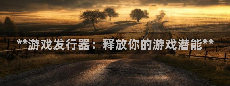 新城平台日7O777：**游戏发行器：释放你的游戏潜能**