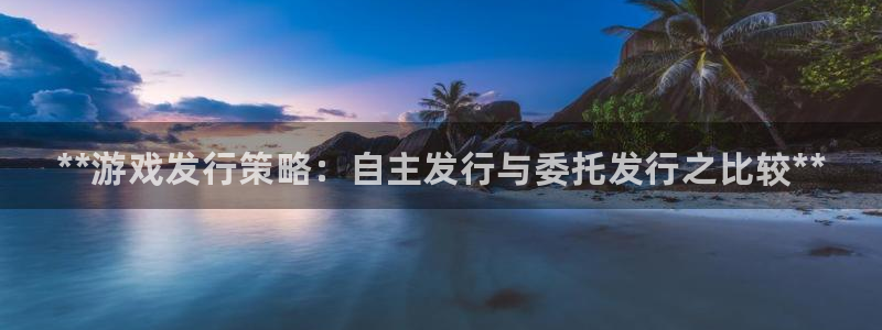 新城平台登录入口官网下载手机版：**游戏发行策略：自主发行与委托发行之比较**