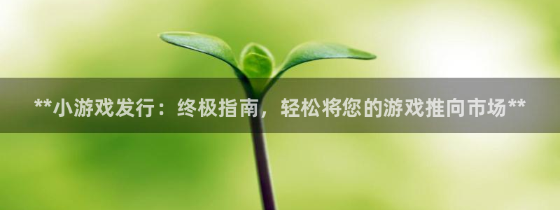 新城平台线路登录不上去了怎么办：**小游戏发行：终极指南，轻松将您的游戏推向市场**