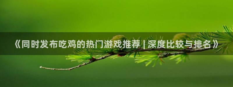 新城平台授权注册：《同时发布吃鸡的热门游戏推荐 | 深度比较与排名》