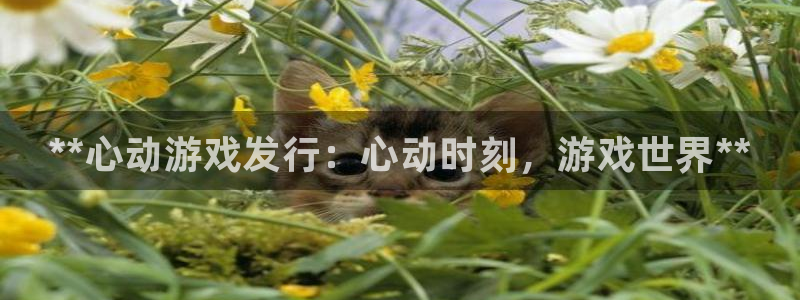 新城平台注册：**心动游戏发行：心动时刻，游戏世界**