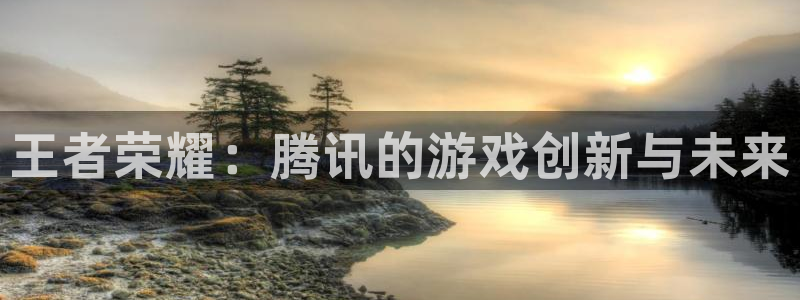 新城平台注册流程及费用