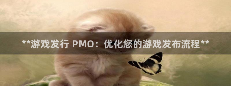 新城平台代理注册条件：**游戏发行 PMO：优化您的游戏发布流程**