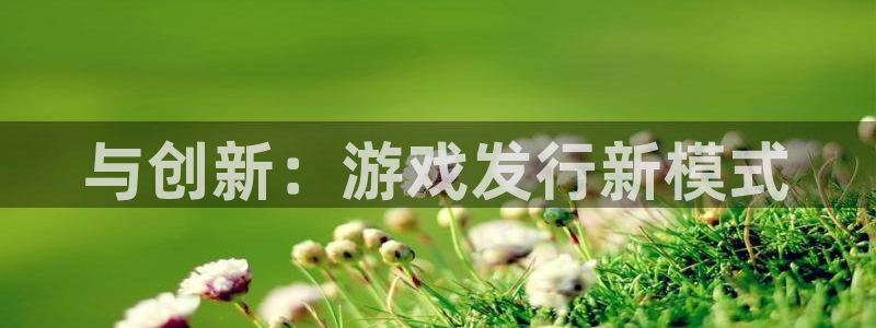 新城平台注册公司流程视频：与创新：游戏发行新模式