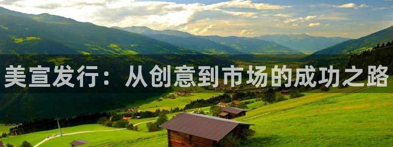 新城平台登录入口官网查询信息：美宣发行：从创意到市场的成功之路