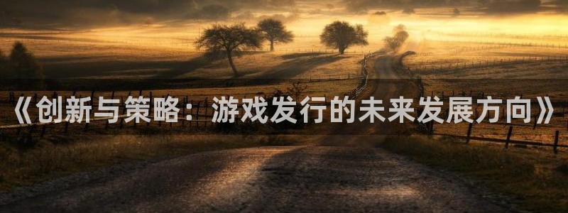 新城平台登录入口网站：《创新与策略：游戏发行的未来发展方向》