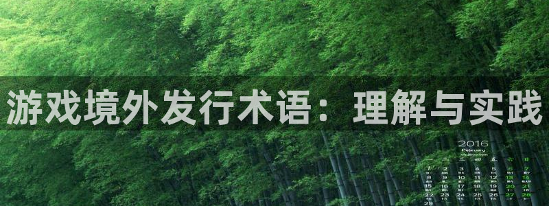 新城平台官网注册流程：游戏境外发行术语：理解与实践