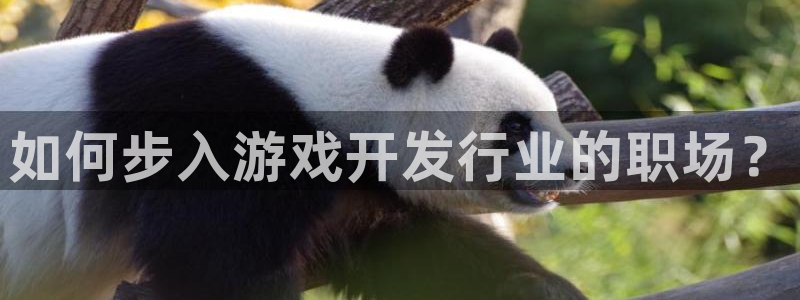 新城平台房7O777：如何步入游戏开发行业的职场？