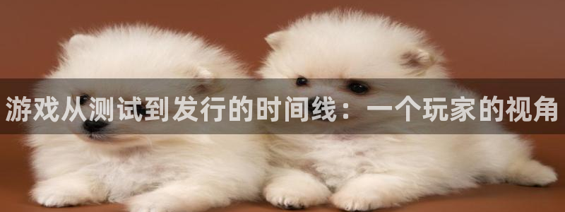 新城平台注册资金多少亿：游戏从测试到发行的时间线：一个玩家的视角