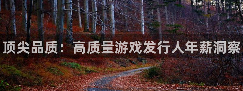 新城平台登录入口官网首页查询