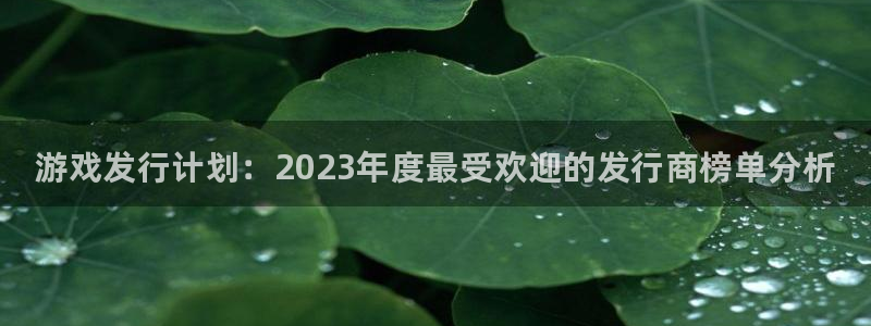 新城平台登录入口网站
