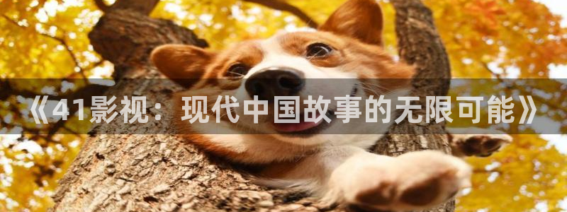 三妹影院在线观看：《41影视：现代中国故事的无限可能》