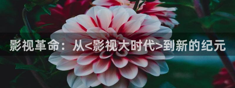 三妹影院免费观看：影视革命：从<影视大时代>到新的纪元