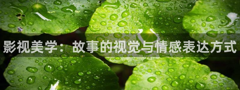 三妹影院：影视美学：故事的视觉与情感表达方式