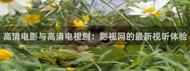 三妹影院免费观看：高清电影与高清电视剧：影视网的最新视听体验